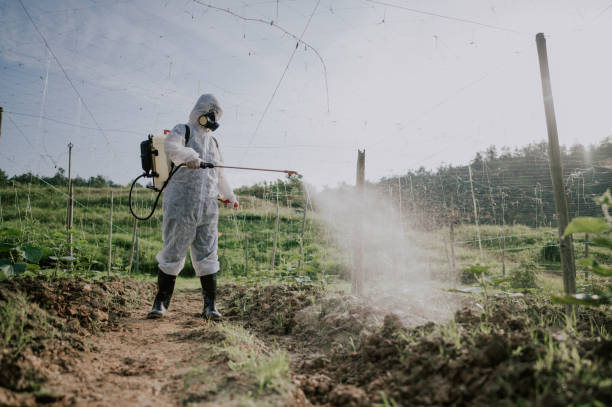 Best Pest Removal Services  in Canaan, CT