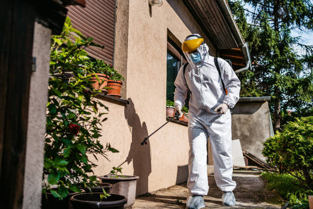 Best Best Pest Control Companies  in Canaan, CT