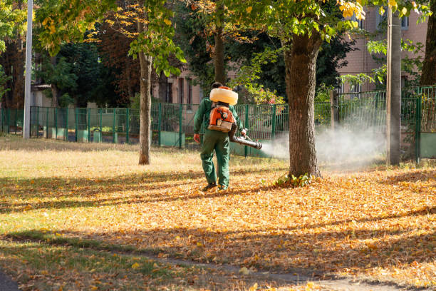 Best Emergency Pest Control  in Canaan, CT