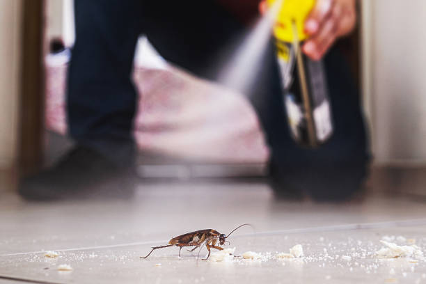Best Pest Control for Homes  in Canaan, CT